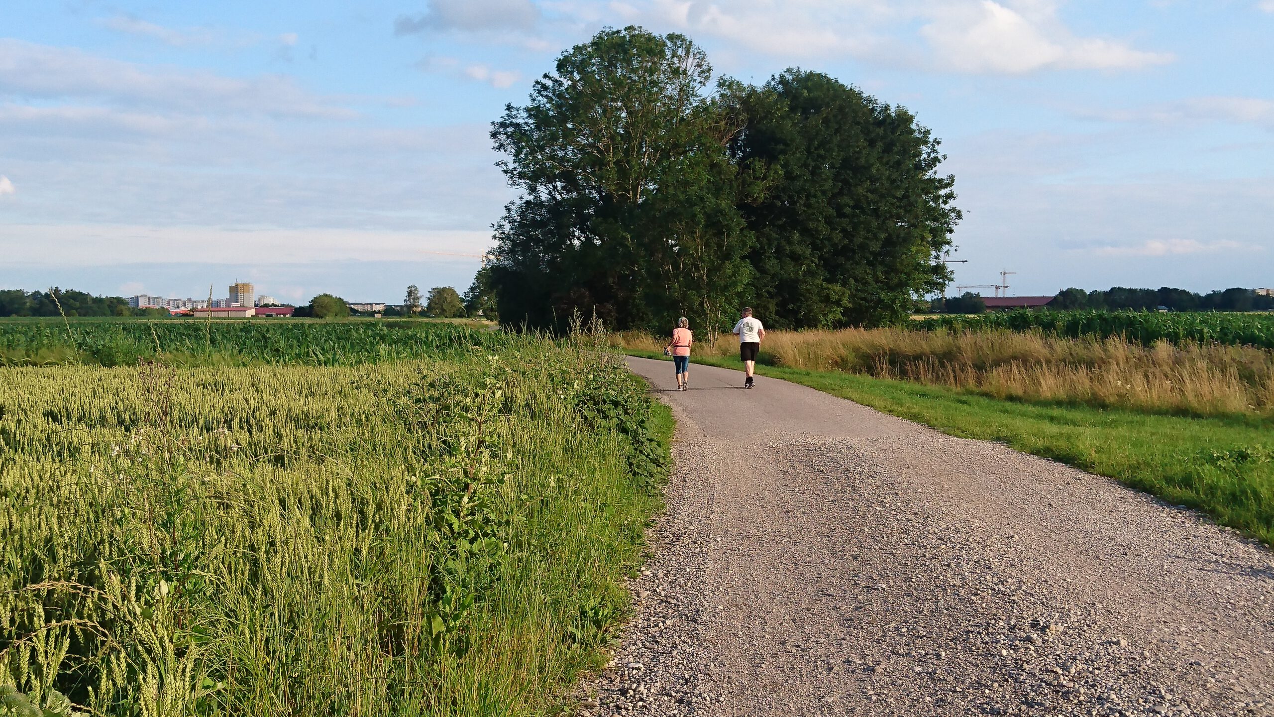 Walking & Running